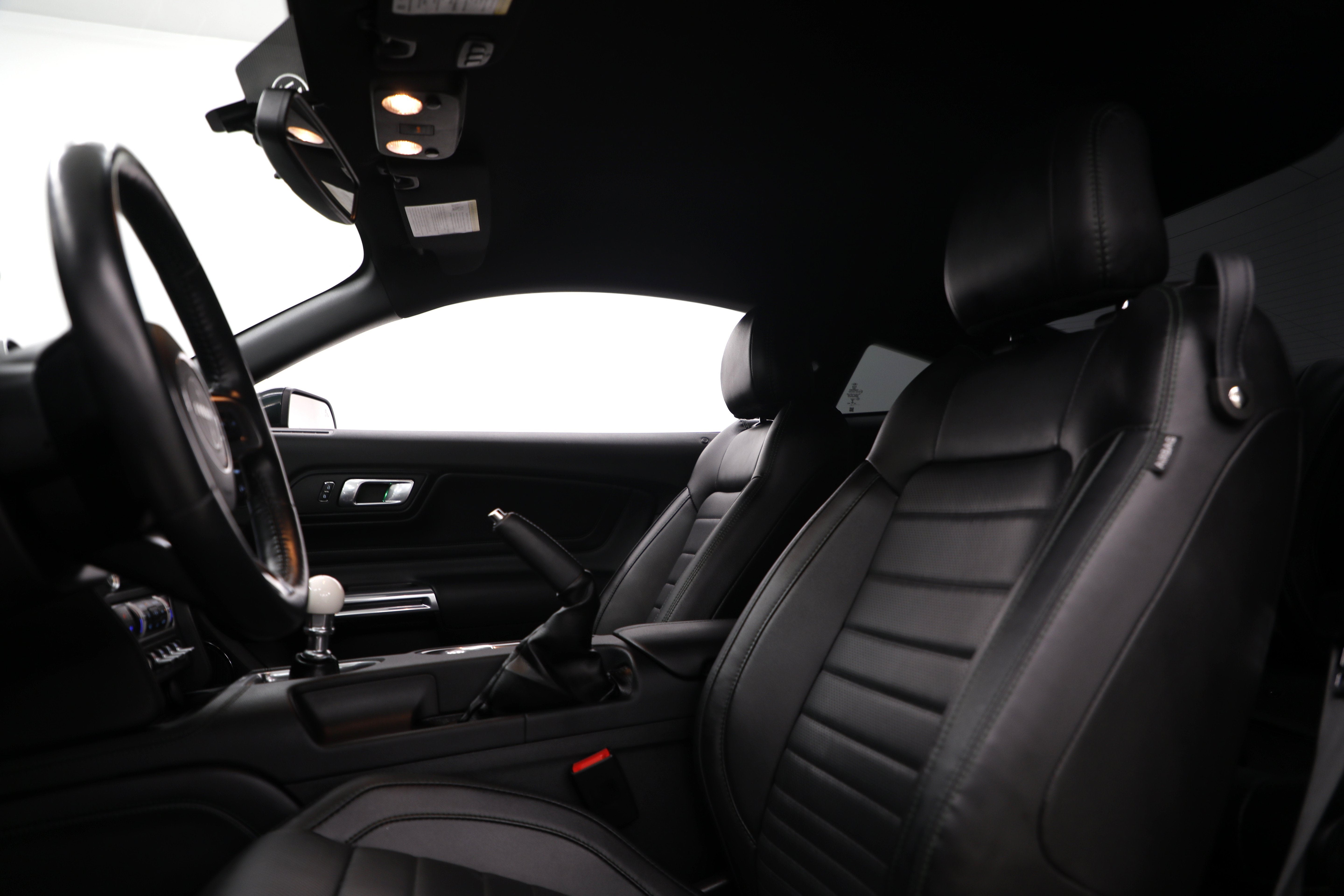 2019 Ford Mustang Bullitt
