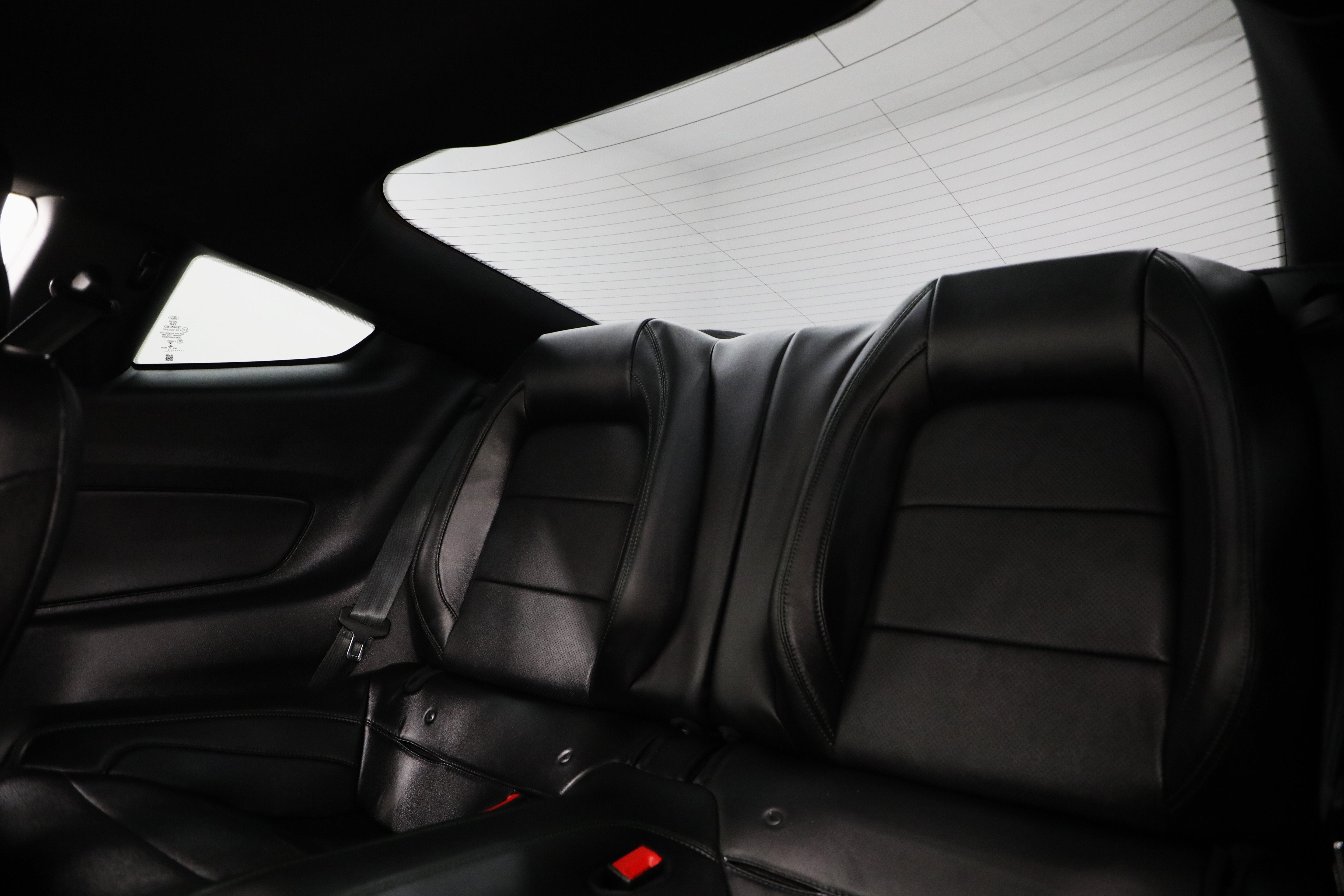 2019 Ford Mustang Bullitt